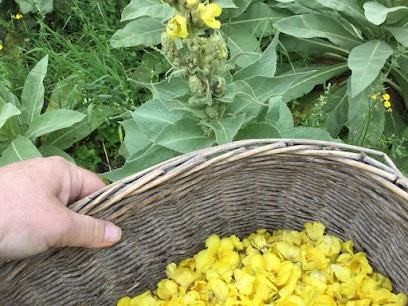L'Herbier Des Montagnes, Ferme Bio à Masevaux-Niederbruck