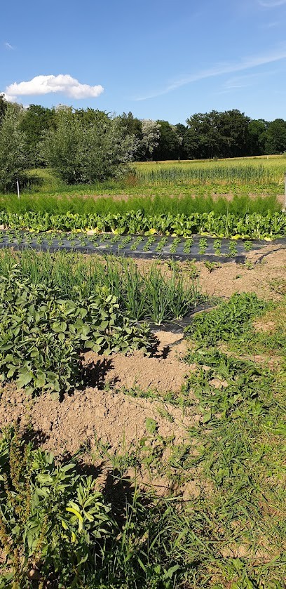 Riedoasis, Ferme Bio à Obenheim