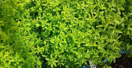 Aro'Mary plants, Ferme Bio à Belley