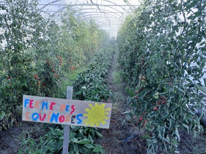 Ferme Des équinoxes, Ferme Bio à Listrac-Médoc