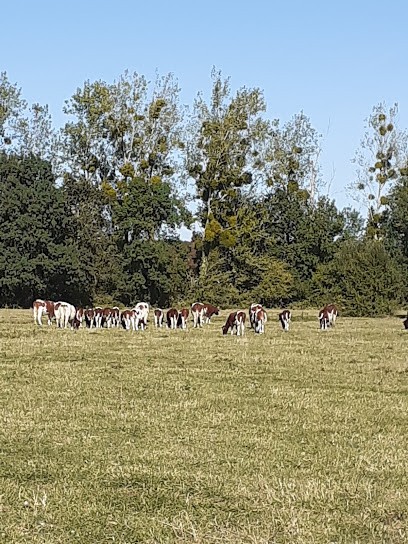 Ferme La Porte aux Moines, Ferme Bio à Beaufort-en-Anjou