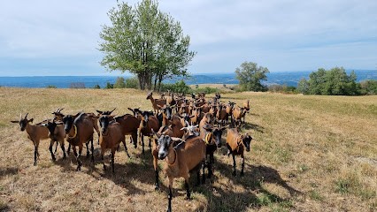 La Fenadou, Ferme Bio au Cayrol