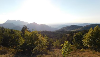 GAEC DES CÎMES, RIMON ET SAVEURS, Ferme Bio à Rimon-et-Savel