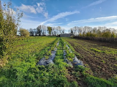 EARL Aux légumes du moulin, Ferme Bio à Cahagnes