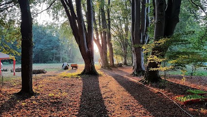Manoir de Messeix, Ferme Bio à Messeix