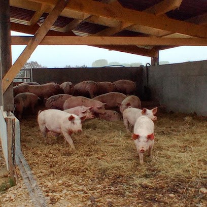 La Ferme Du Sevron, Ferme Bio à Meillonnas