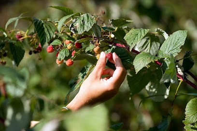 Equinops, Ferme Bio à Argentine