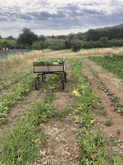 Le Jardin Suspendu, Ferme Bio à Aubagne