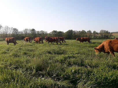 La Ferme des Coutures, Ferme Bio à Thairé