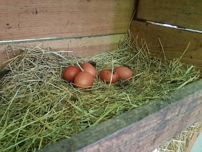 La Bioferme, Ferme Bio à Saint-Aubin-de-Médoc