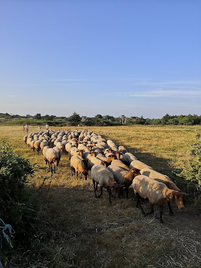 La ferme d'Emilie, Ferme Bio à L'Île-d'Yeu