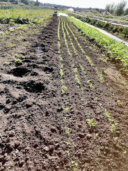 La Pousse Tranquille, Ferme Bio à Trizay