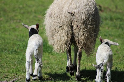 La Ferme Du Pré Fleuri, Ferme Bio à Sermentizon