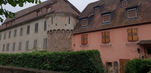 Alsace Bio / BiObernai, Ferme Bio à Obernai