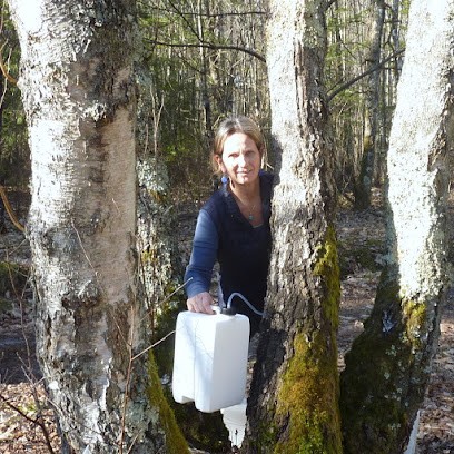 Sologne ô Naturel, Magasin Bio à Vannes-sur-Cosson