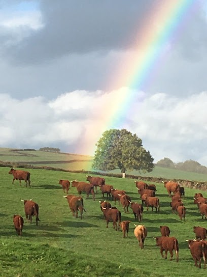 La Ferme Bio de La Grande Terre, Ferme Bio à Saint-Marcelin-de-Cray