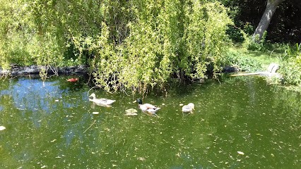 Les Poulettes de Mirbel, Ferme Bio à Longnes