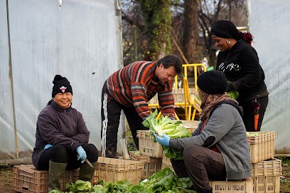 Les Potagers du Garon, Ferme Bio à Grigny