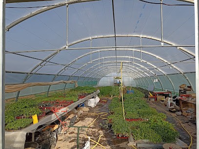 La Grange du Serayol, Ferme Bio à Lescure-d'Albigeois