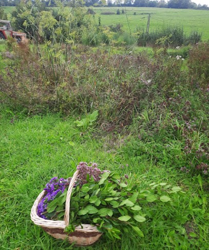 Jardin d'even, Ferme Bio à Senantes