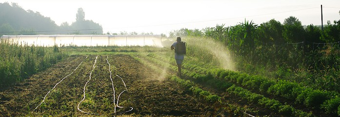 Damien Guillaume, Ferme Bio à Saint-Seurin-de-Prats