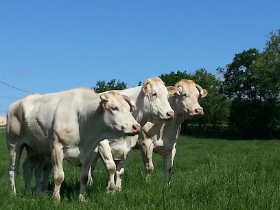 EARL de Falgueyrou, Ferme Bio à Saint-Eutrope-de-Born