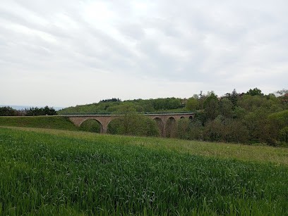 Le potager d'Olivier, Ferme Bio à Pélussin