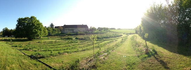 Les Vergers de l'Amélanche, Ferme Bio à Chapaize
