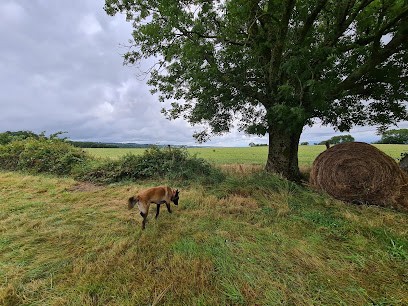 La farmily, Ferme Bio à Villemagne