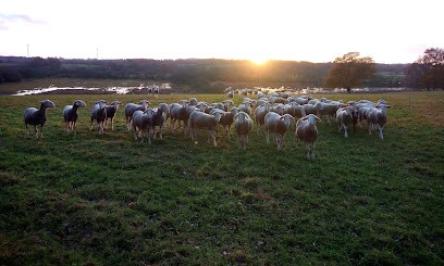 Ferme brebis bio de laiguilleconsoude, Ferme Bio à Fégréac