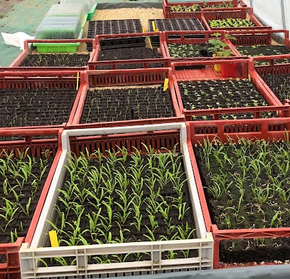 Les Jardins Du Vernay, Ferme Bio à Saint-Maurice-de-Satonnay
