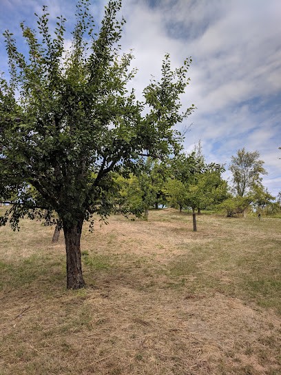 Les Vergers De Soubeyrac, Ferme Bio à Gavaudun