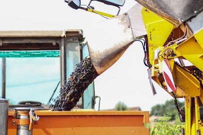 Ferme des Côteaux de la Divatte - Benureau, Ferme Bio à Divatte-sur-Loire