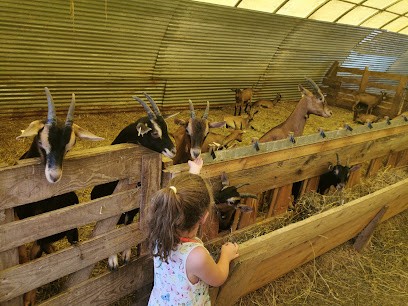 La Chabra Negra, Ferme Bio à Blanzac