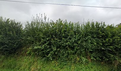 Ferme de la planquette, Ferme Bio à Gouvets