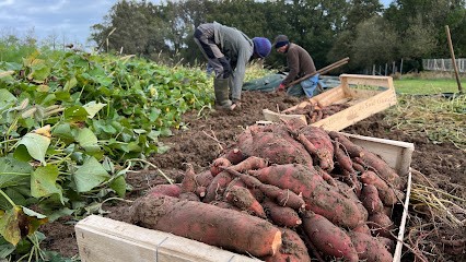 Ferme solidaire de l'Eco-Lieu Lacoste, Ferme Bio à Tarnos