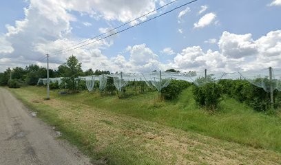 Ferme Biologique de Roche, Ferme Bio au Temple-sur-Lot
