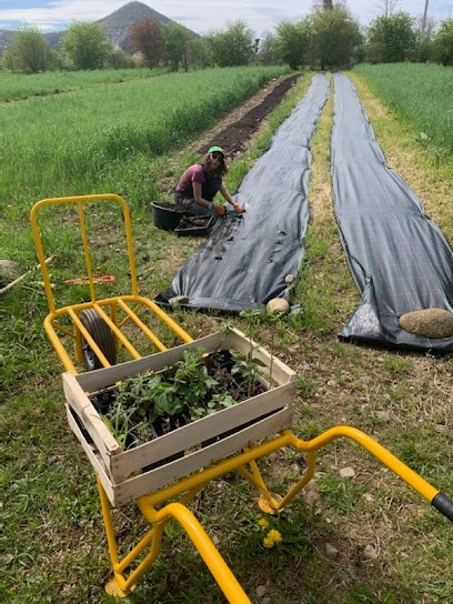 Le Jardin De Baya Et Jimmy, Ferme Bio à Huos