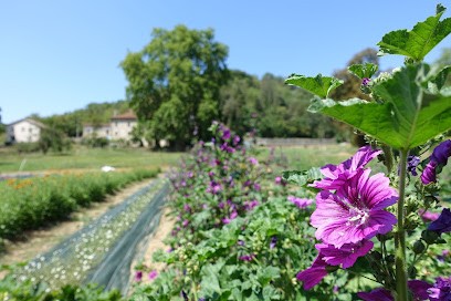 Les Jardins du Rémoulon, Ferme Bio à Serpaize