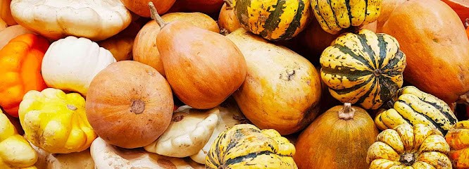 Les Légumes De Neulise, Ferme Bio à Neulise