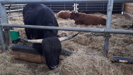 Ferme Du Mont Celley, Ferme Bio à Lachaux