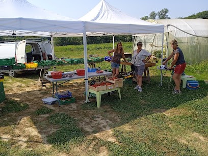 Ferme Sissan, Ferme Bio à Sedze-Maubecq