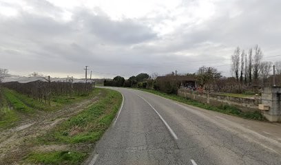 Pommes bio, Ferme Bio à Cordes-Tolosannes