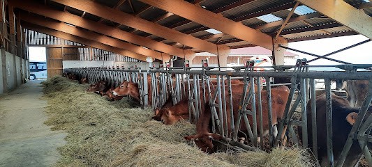 Domaine KRUST, Ferme Bio à Berrwiller