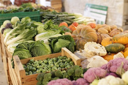 LA FERME DU TREUIL CHARRE, Ferme Bio à Saint-Christophe