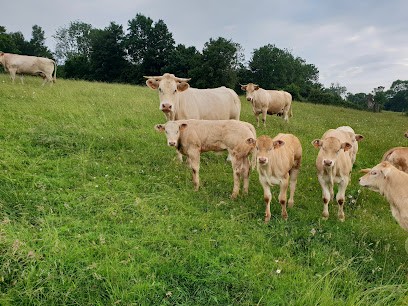 Earl Liger, Ferme Bio à Valsemé