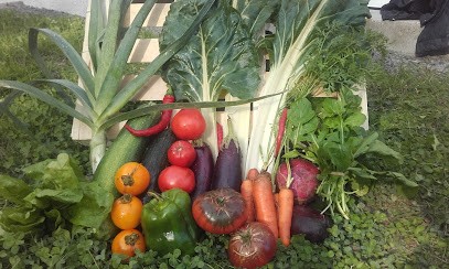La Belle Vol'lait Tenailleau Christophe et Karine, Ferme Bio à Saint-Philbert-de-Bouaine