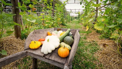 Les Jardins Inspirés, Ferme Bio à Eysines