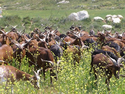 La Fermette De La Croix D'Estrine, Ferme Bio à Martigues