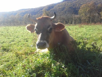 Ferme d'Elodie et Julien, Ferme Bio à Bétaille